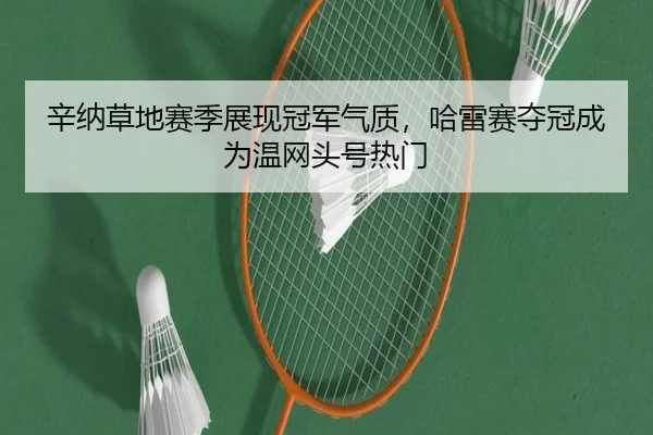 辛纳草地赛季展现冠军气质，哈雷赛夺冠成为温网头号热门